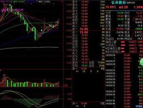 股指期货最新爆料消息,市场动态揭秘，投资风向标再起波澜
