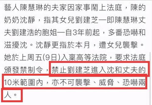 爆料婆婆最新章节目录,揭秘婆媳关系的微妙平衡与智慧较量